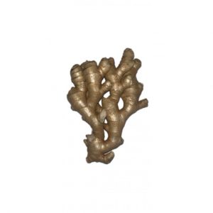 GINGER PKG