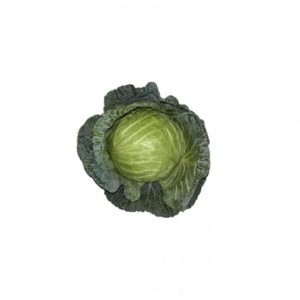 CABBAGE LOOSE GG