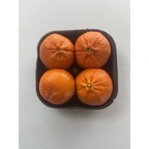 NADORCOT 1KG FRESH FUSION