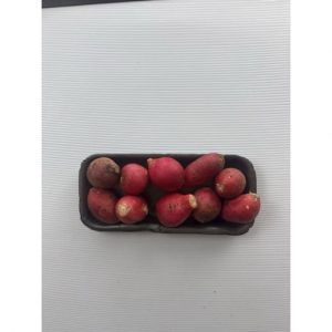 RADISH PUNNET TM