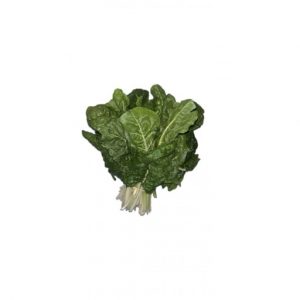 SPINACH BUNCH GG