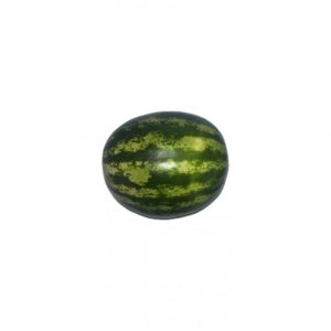 WATERMELON TM