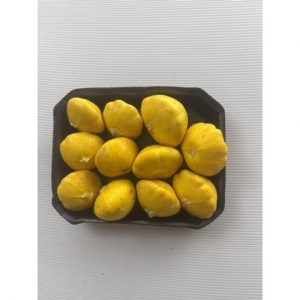 PATTY PAN YELLOW PUNNET TM