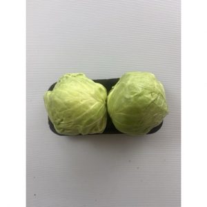 BABY CABBAGE PUNNET TM